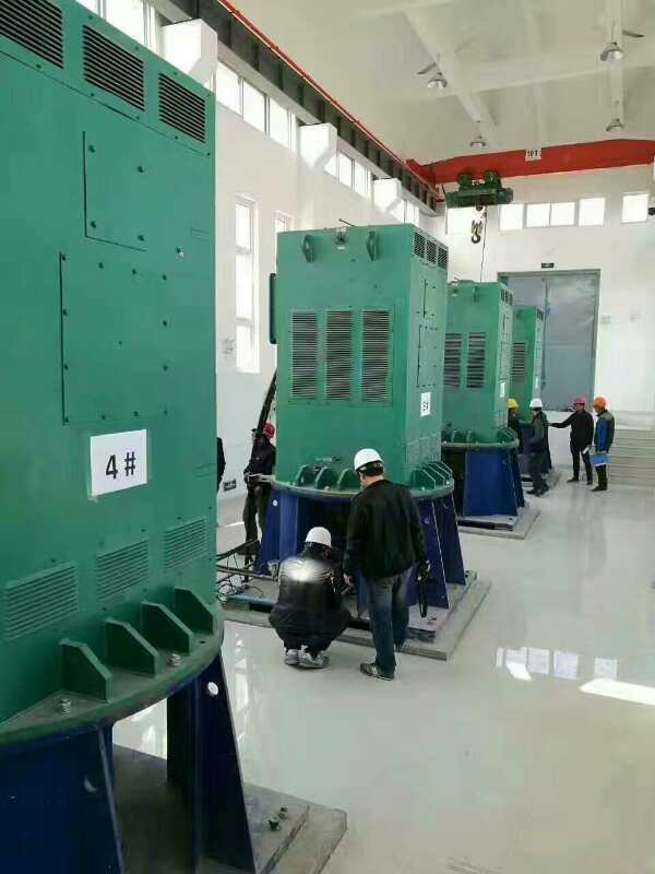 龙城某污水处理厂使用我厂的立式高压电机安装现场安装尺寸