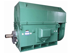 龙城Y系列6KV高压电机